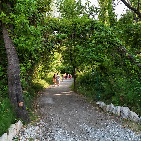 Lykia Botanika Fun & Club 4* フェティエ