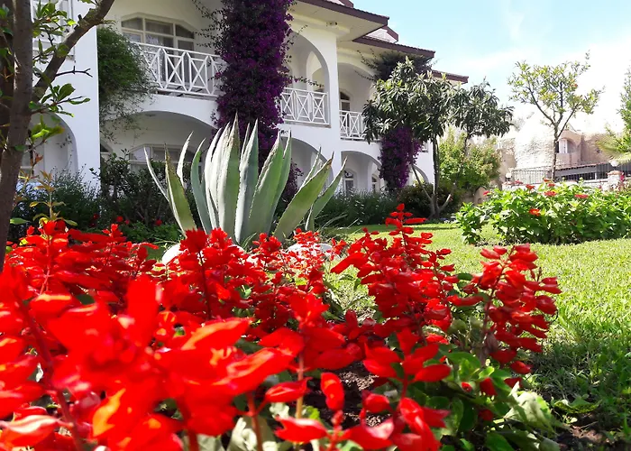 Lykia Botanika Fun & Club 4*